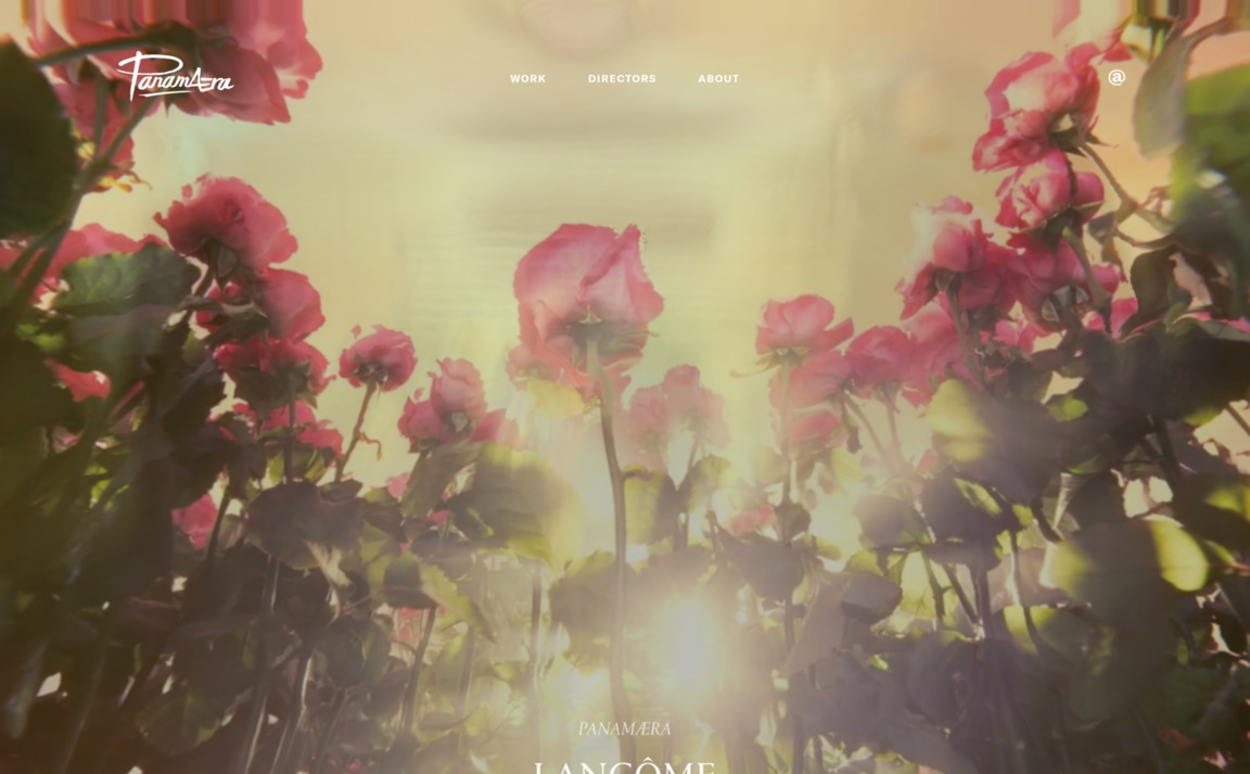 Web Design Inspiration - Panamaera