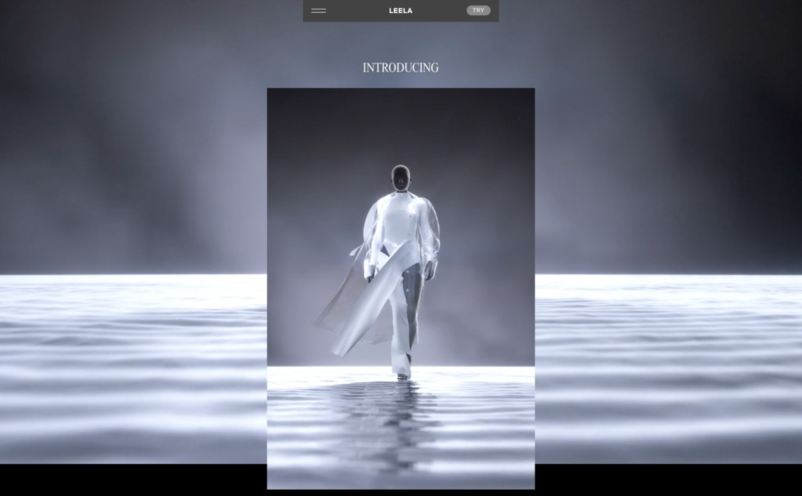 Web Design Inspiration - Leela