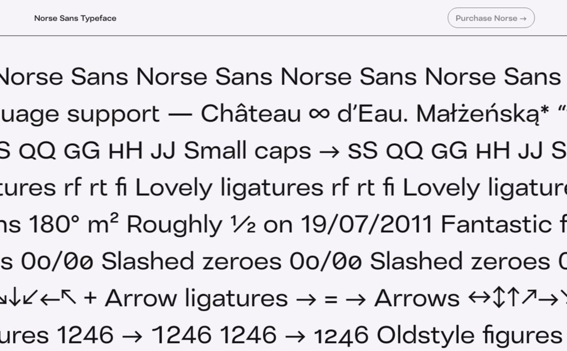 Web Design Inspiration - Norse Sans