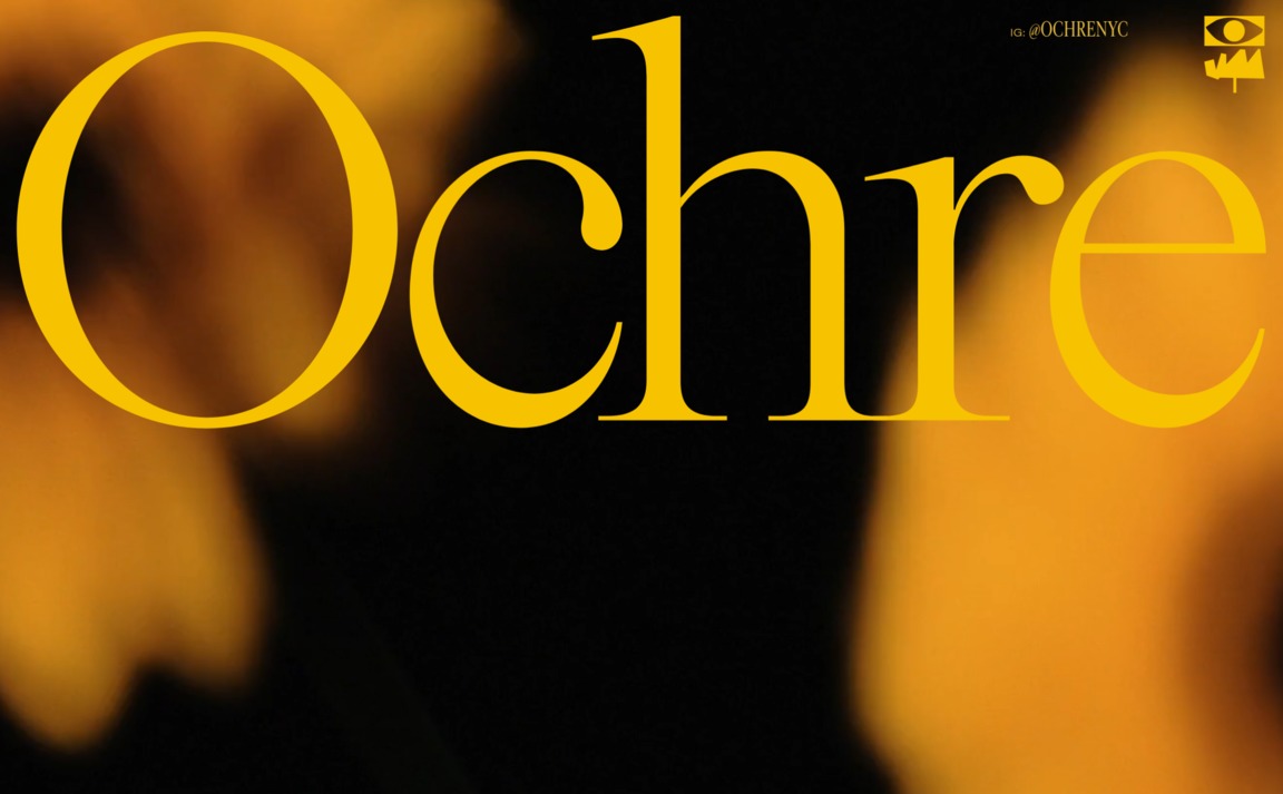 Web Design Inspiration - Ochre NYC