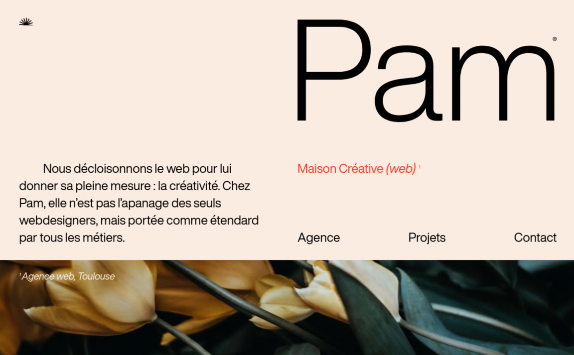 Web Design Inspiration - Pam