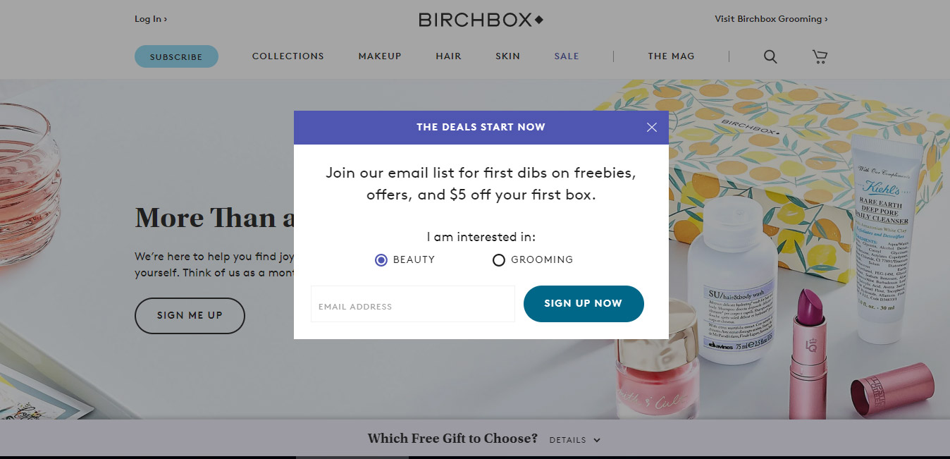 Birchbox CTA Example